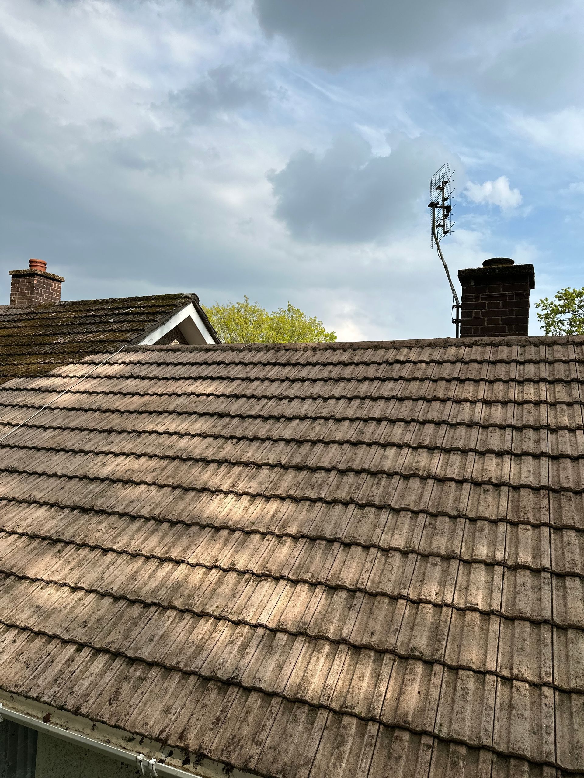 A roof with a lot of tiles and moss on it