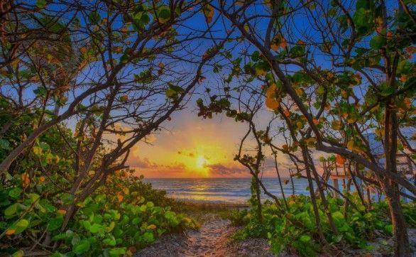 Beach Access walkway in Juno Beach Florida