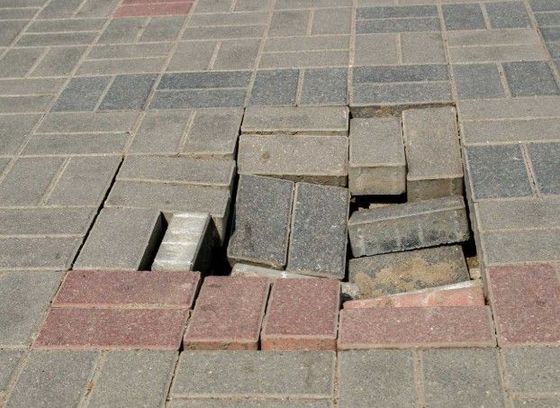 dangerous trip hazards located on Damaged Driveway with uneven Pavers
