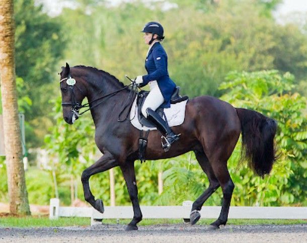 Equestrian Dressage in Wellington, Florida