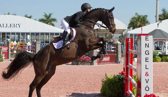 Wellington Equestrian Jumping in Wellington, Florida