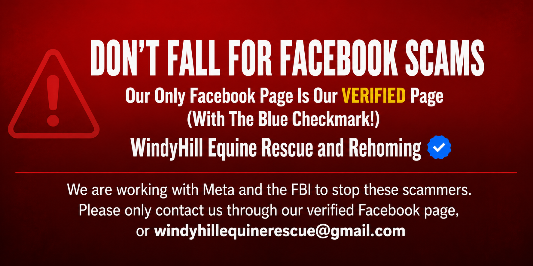 facebook2