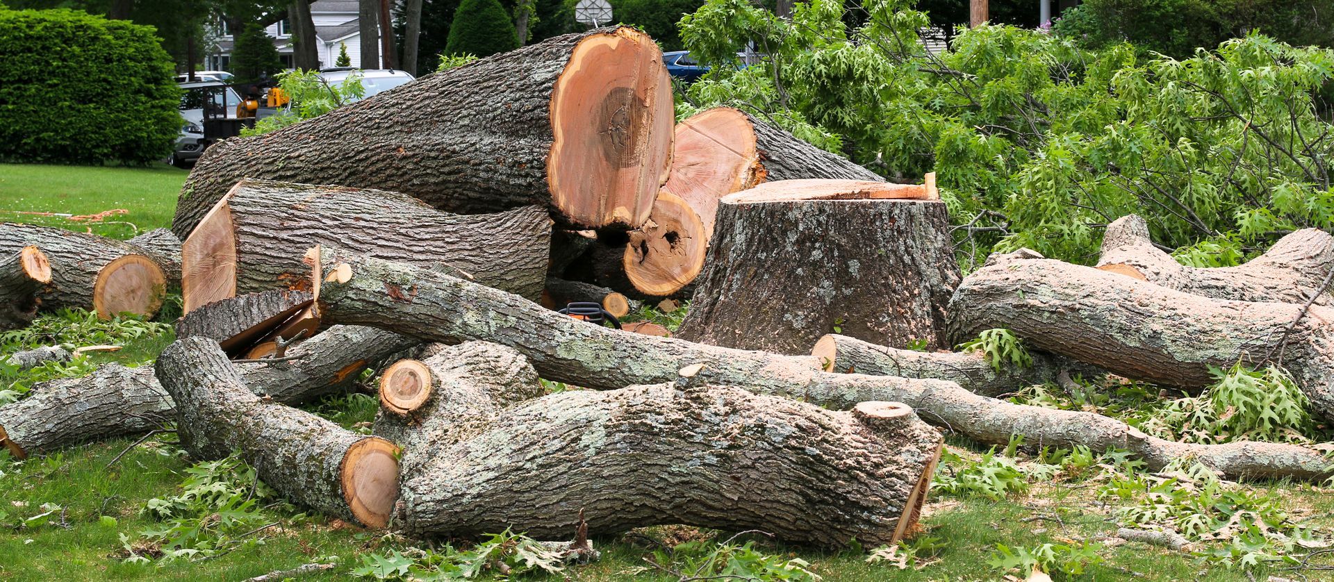 Tree removal showing large tree stump and cut wood pile on green lawn after removal work.