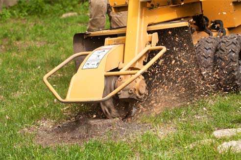 Stump Grinding