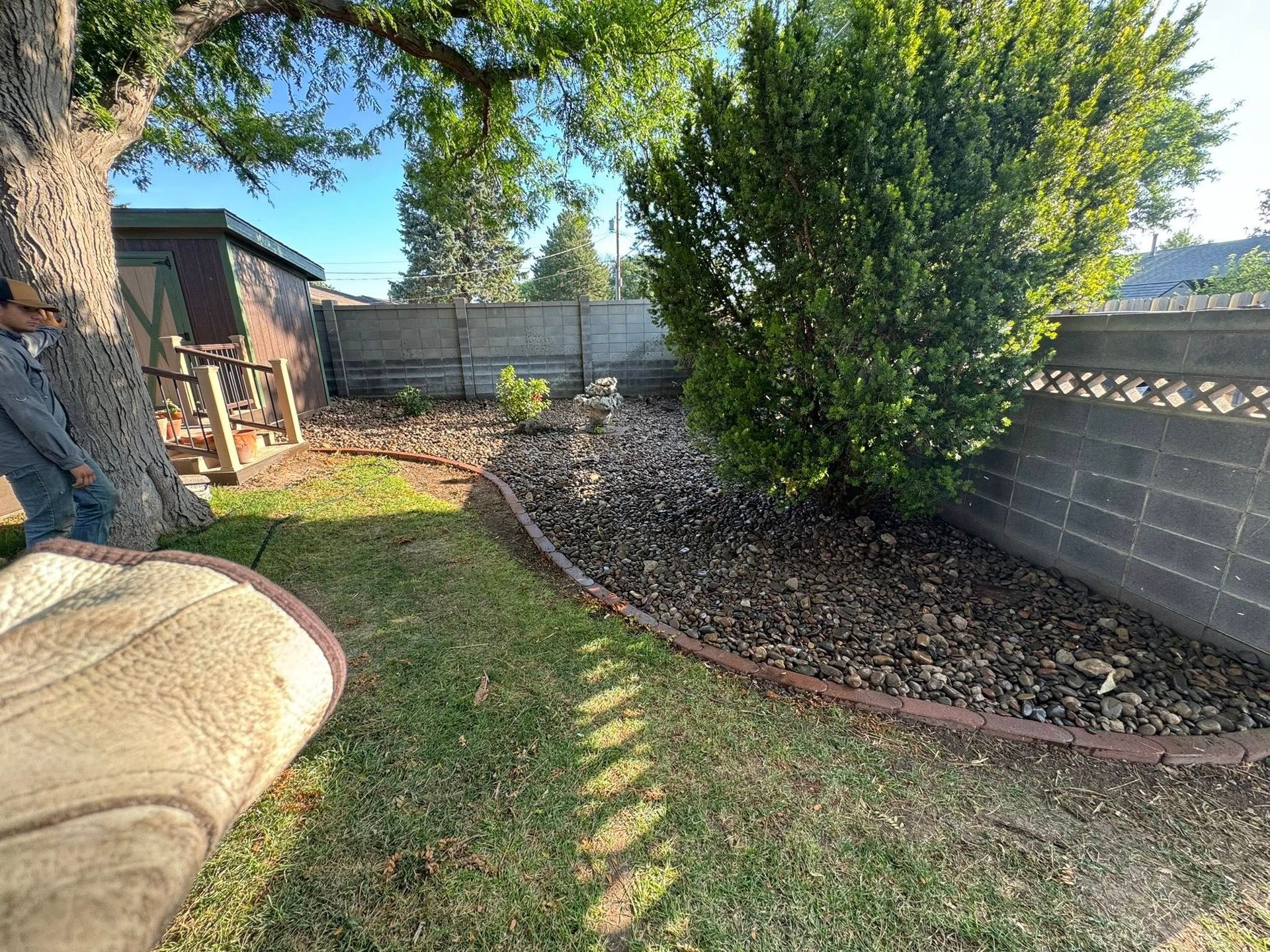 Backyard garden with a large shrub, stone edging, grass, and a fence in the background.