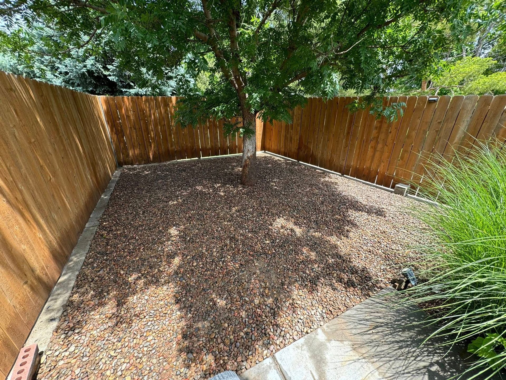 Wooded backyard corner with gravel ground, wooden fences, and leafy trees overhead