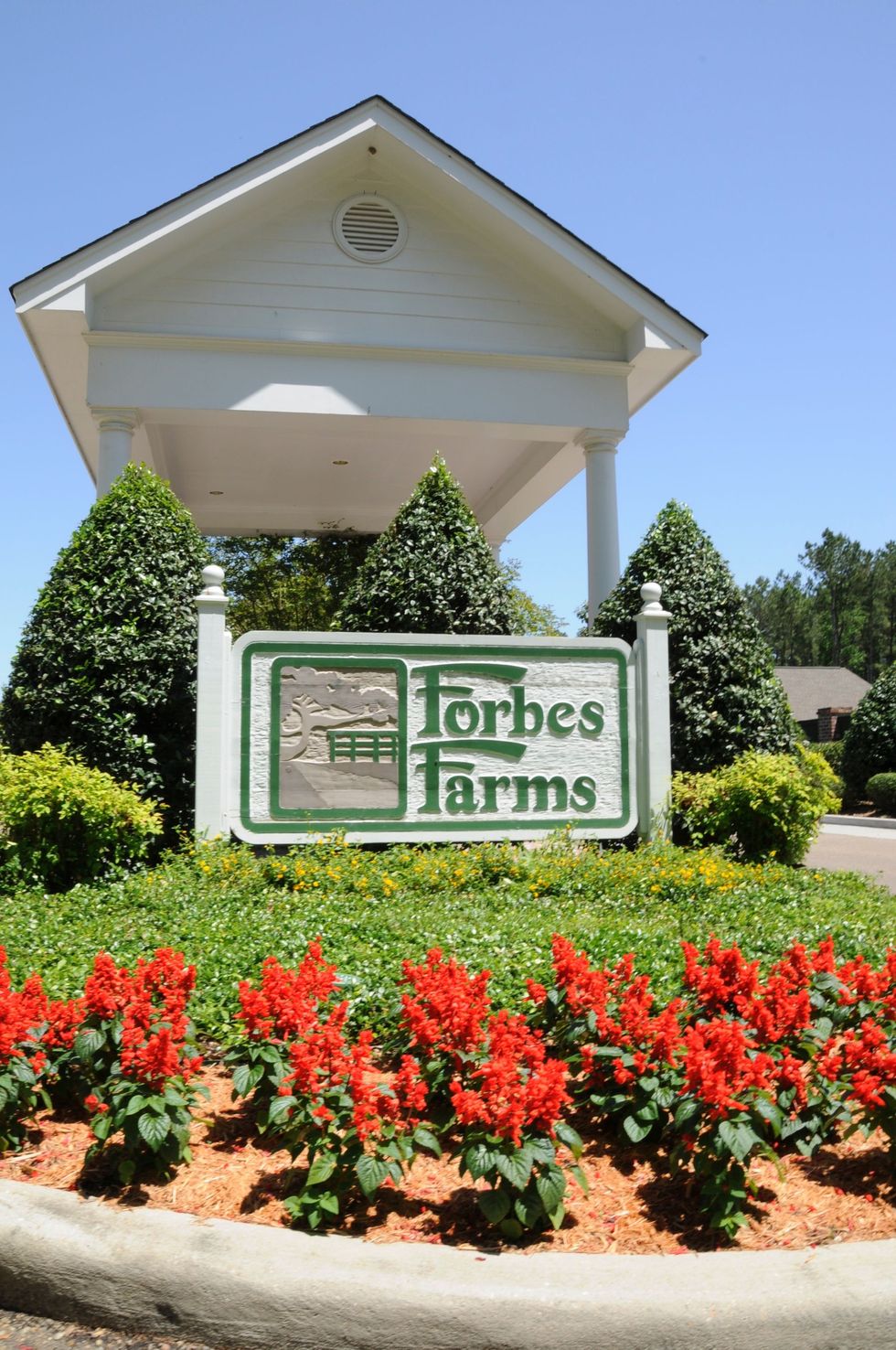 Gated neighborhood with land for sale in hammond, LA | Forbes Farms Neighborhood