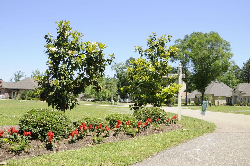 Forbes Farms neighborhood in Hammond, LA | Land for sale in Hammond, LA