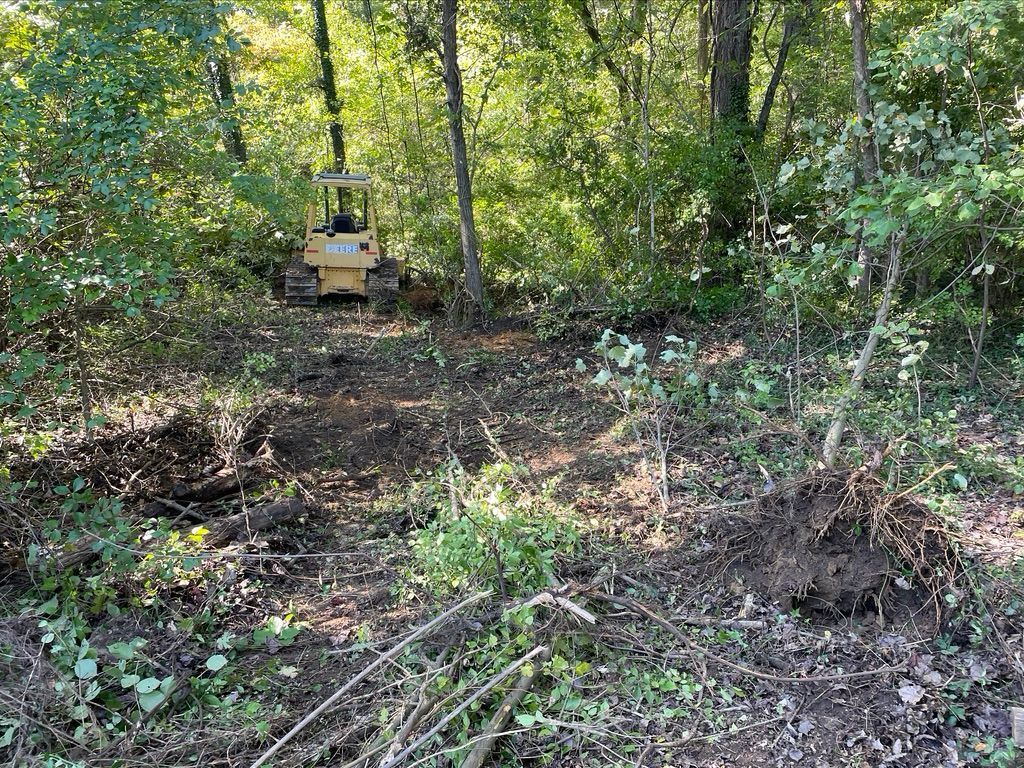 A yellow bulldozer clearing brush and small trees in a wooded area