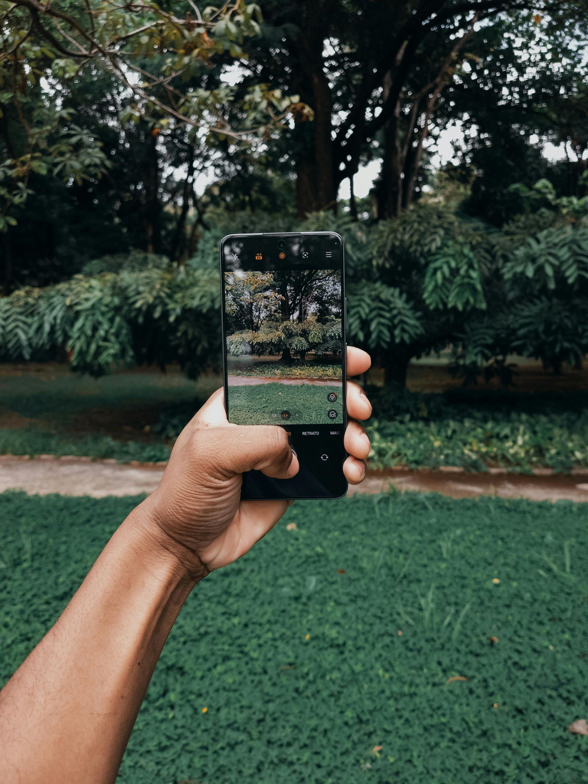 taking photo of landscape in portrait mode