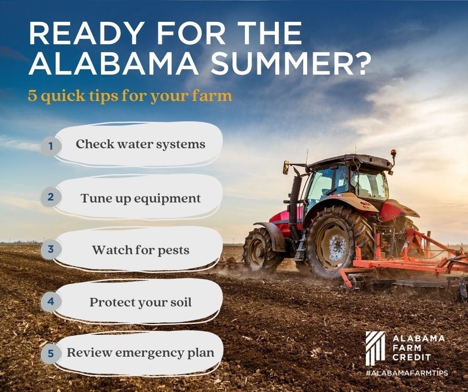 Farm tips for Alabama summer: check water, tune up equipment, watch for pests, protect soil, and review plans.