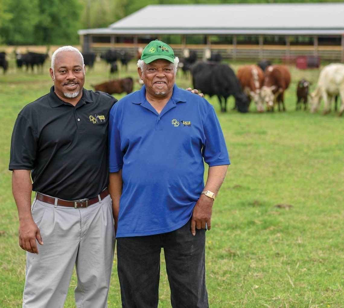 Livestock Loans