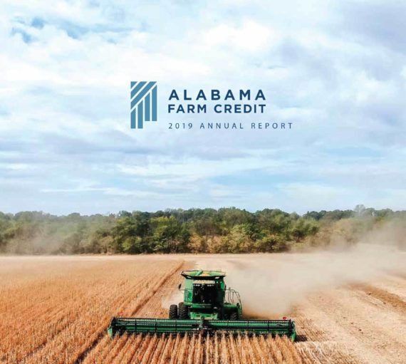 2019 Annual Report