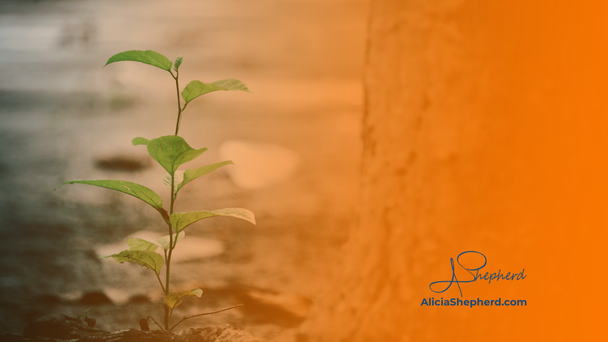 Small young plant growing beside a mature tree, representing professional development 