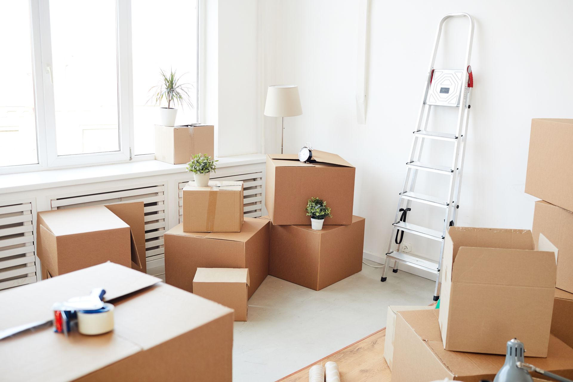 Bright moving room with stacked cardboard boxes, a ladder, and a few houseplants near a window