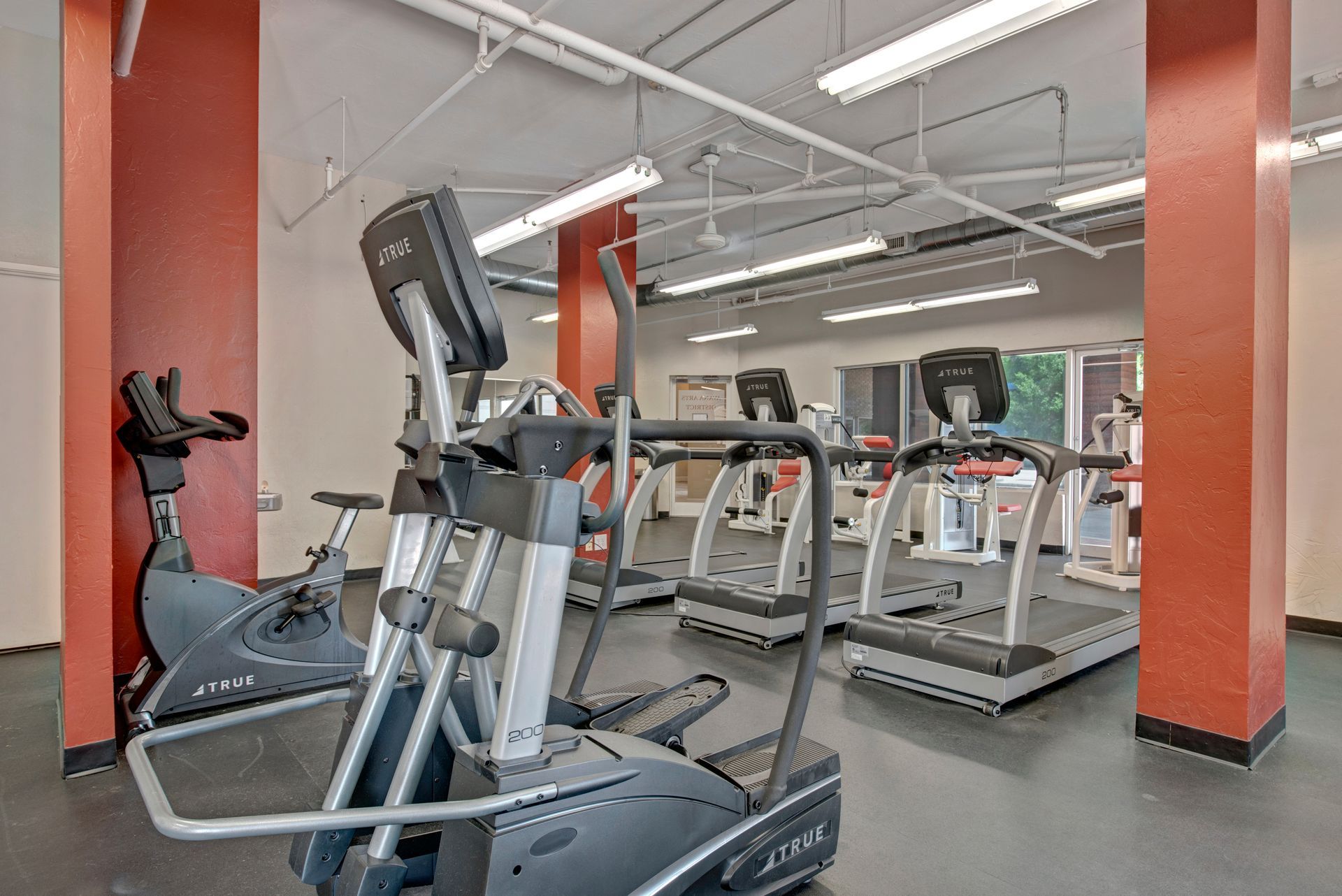 gym equipment