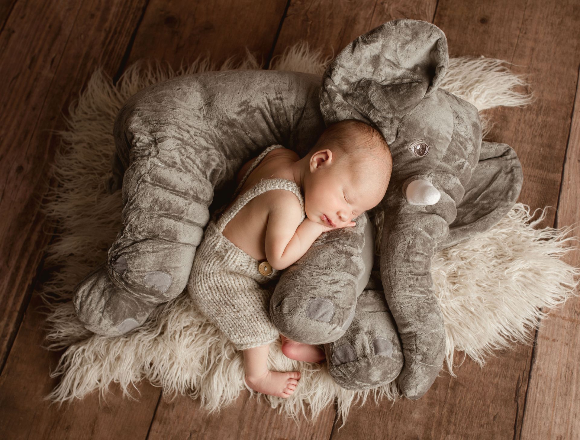 Newborn sleeps nestled against a gray elephant plush toy on a fluffy white rug, wooden floor background.