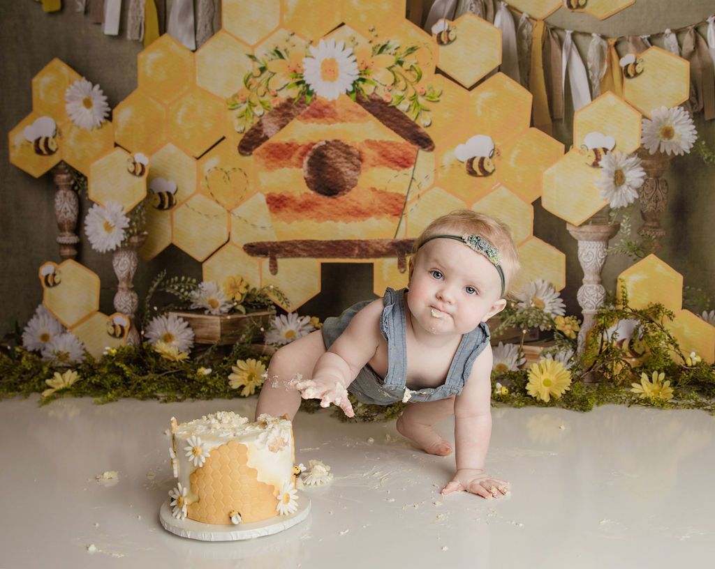 Baby crawling toward a cake, honeybee-themed backdrop with honeycomb and beehive, light colors.
