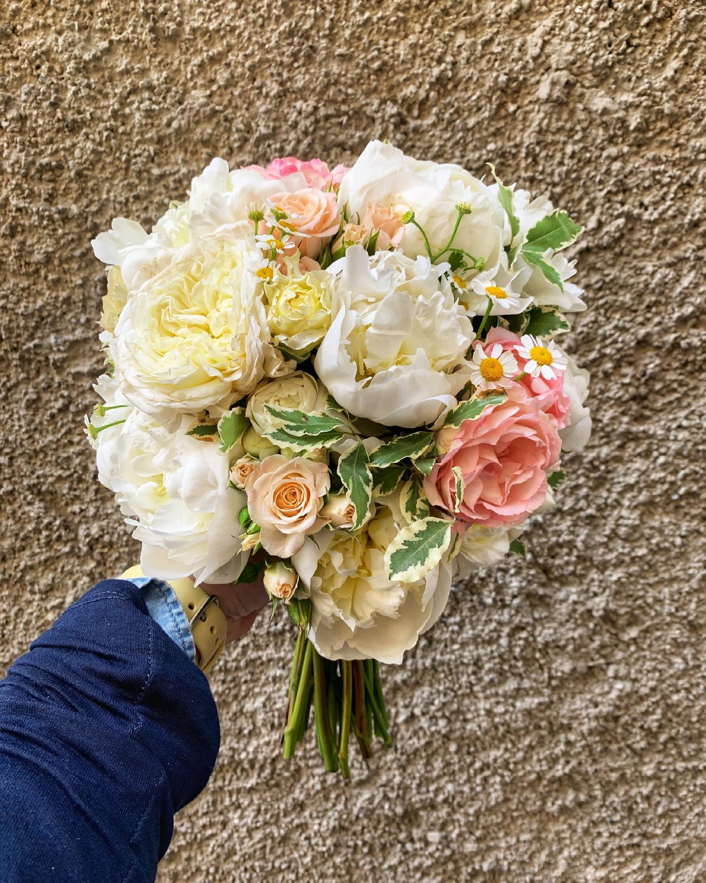 FIORI FRESCHI