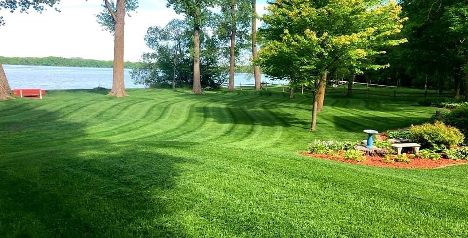 Tall Trees On The Lawn — Hutchinson, MN — Green Earth Lawn Care