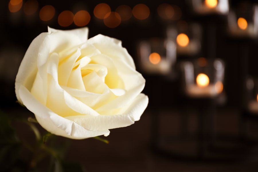 Fiore delle pompe funebri di Fabro
