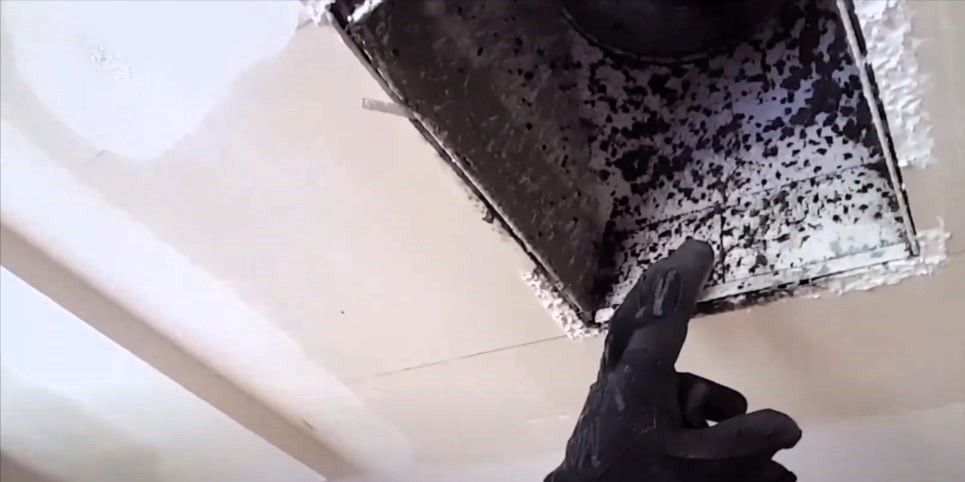 Expert inspecting mold growth in home air ducts