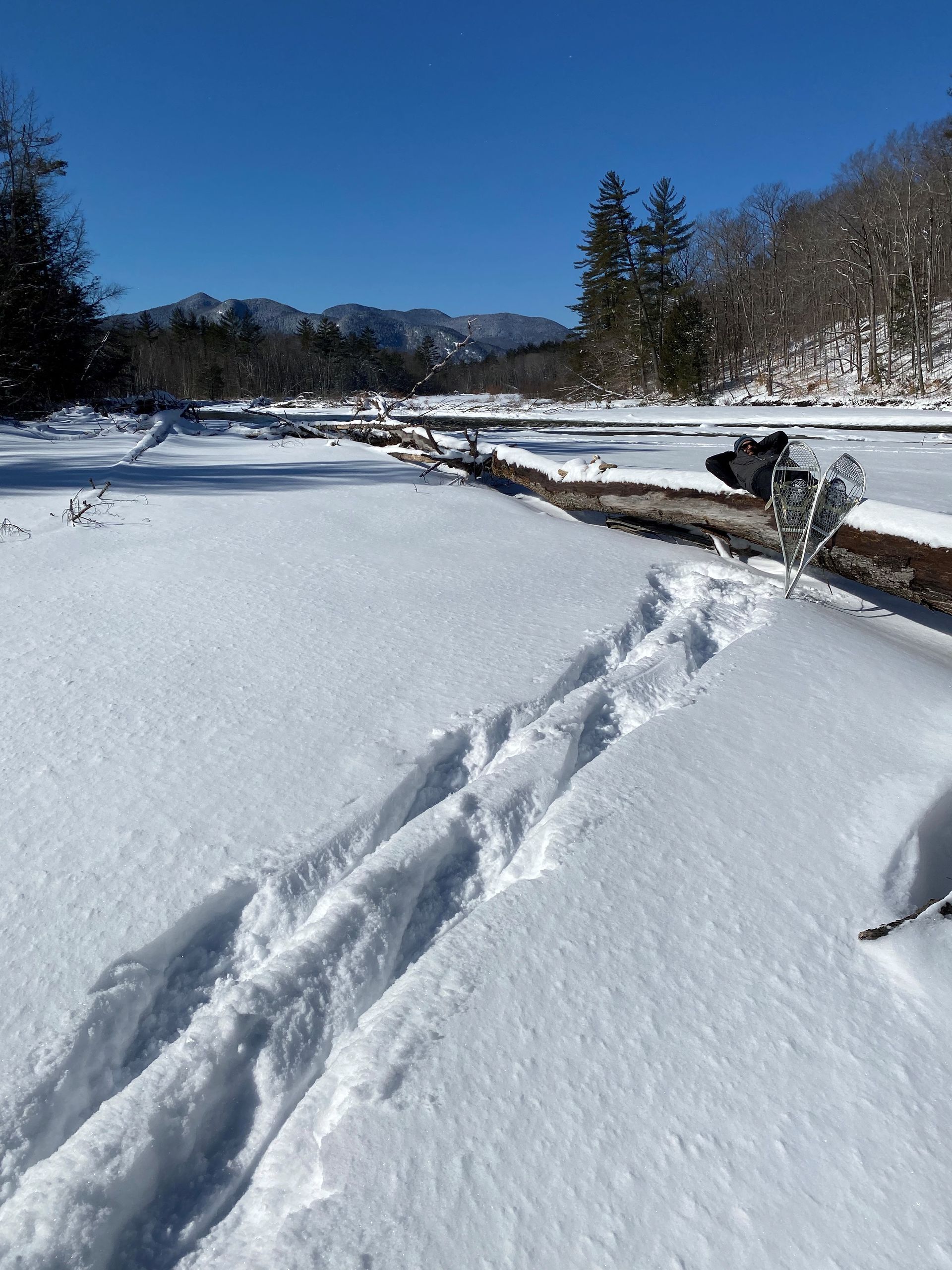 A snowy field with footprints in the snow
