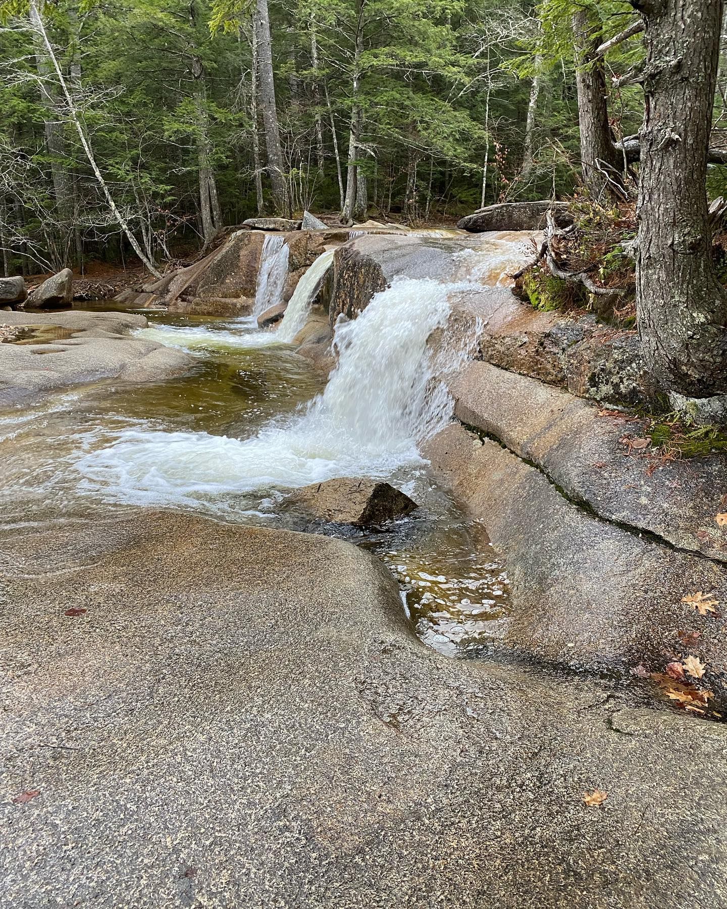 A waterfall is coming down a rocky slope in the woods.