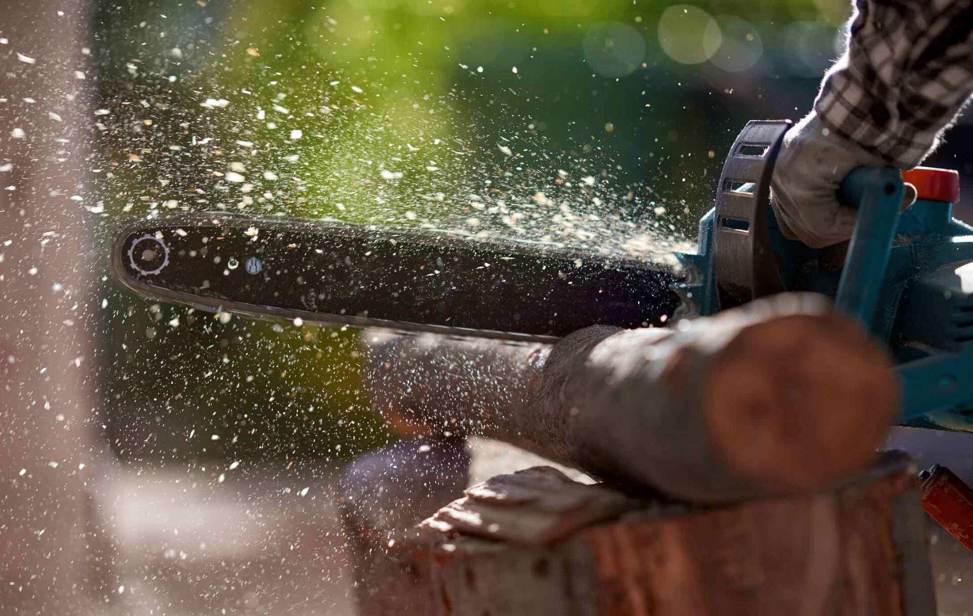 Cuttings Logs With Chainsaw — Marshalltown, IA — Mitchell Logging