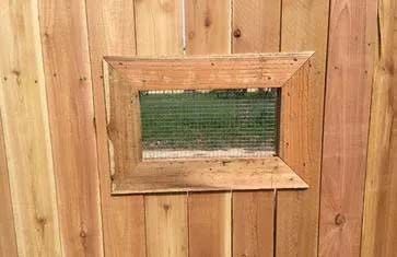Dog Window
