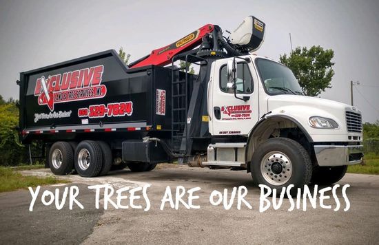 White and black tree service truck with