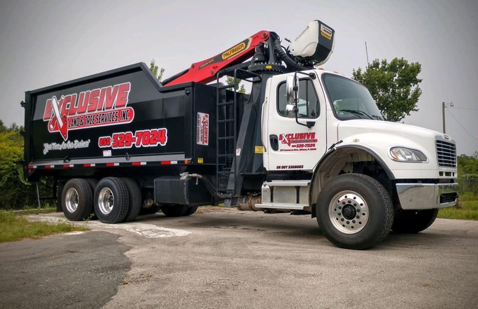 Tree services and removal Tallahassee