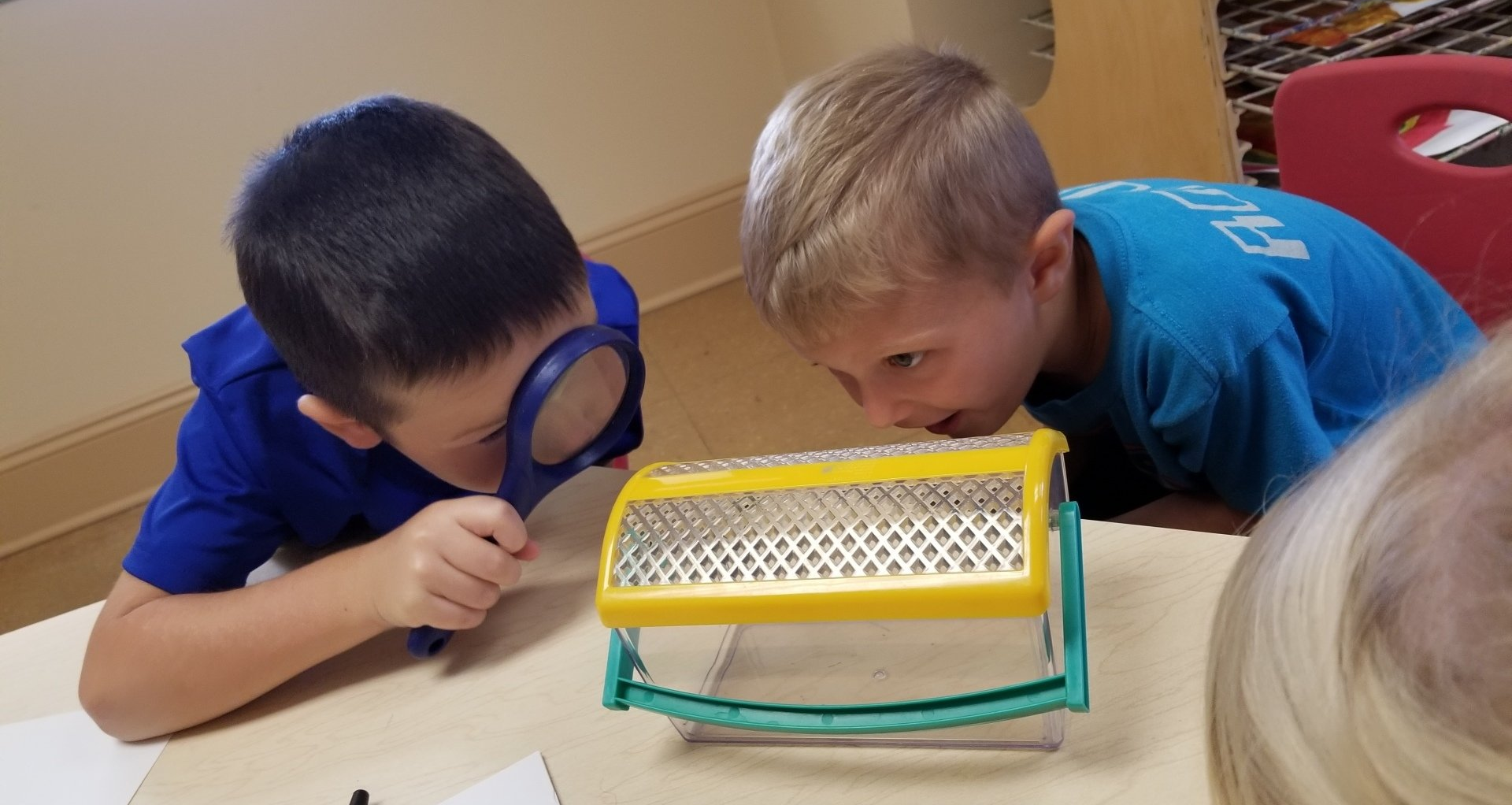 Two young boys are looking through a magnifying glass at a bug.