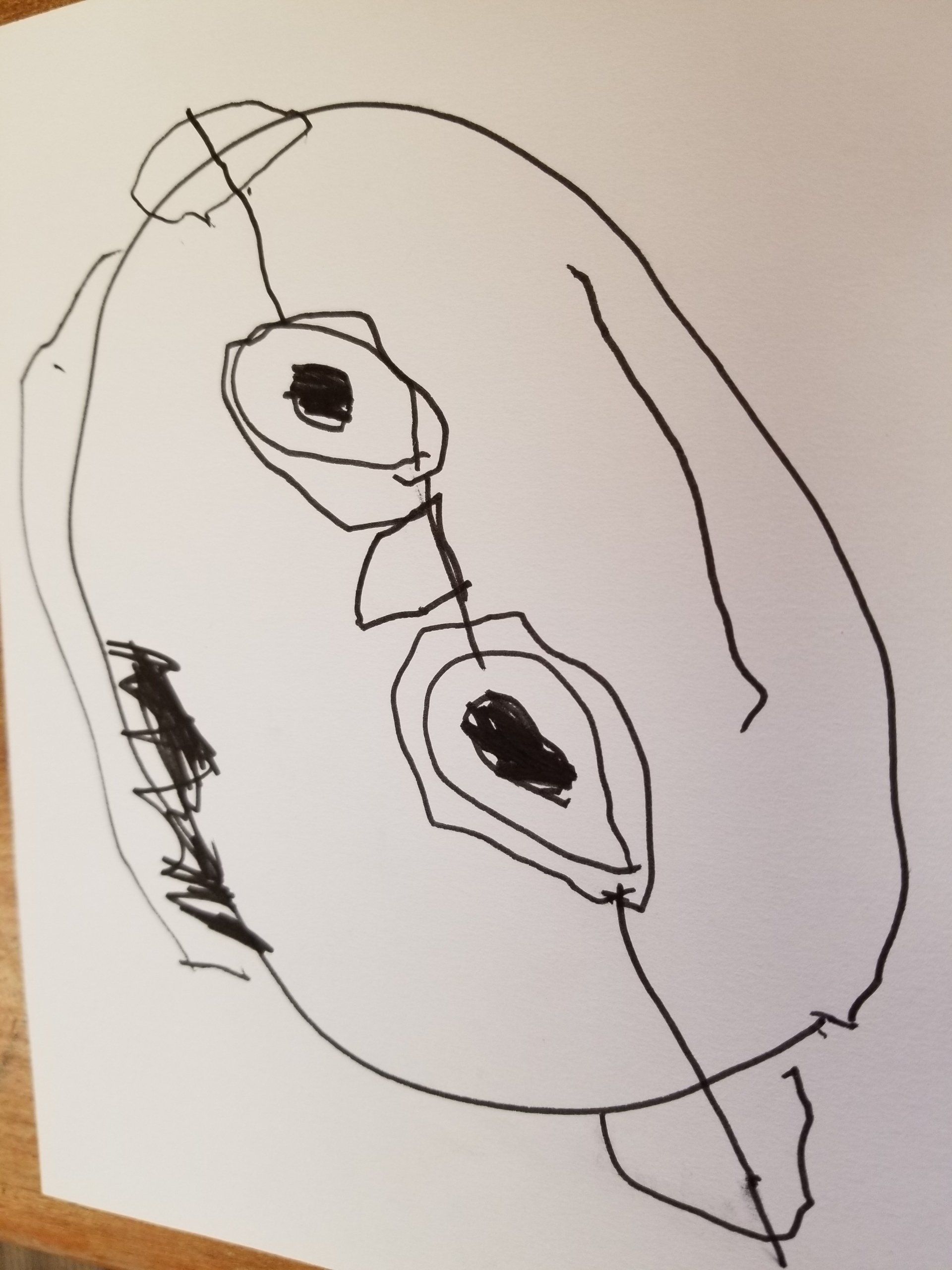 A black and white drawing of a person 's face