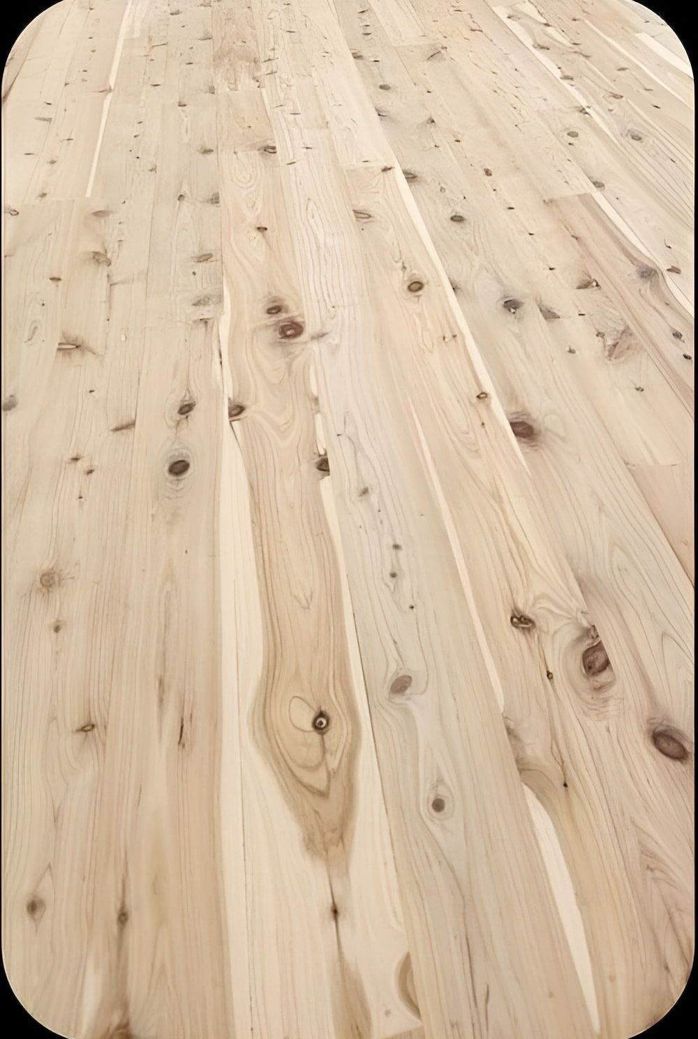 A Mop Is Being Used To Clean A Wooden Floor Next To A Rug — Kyall Chalker Floor Sanding & Polishing In North Haven, NSW