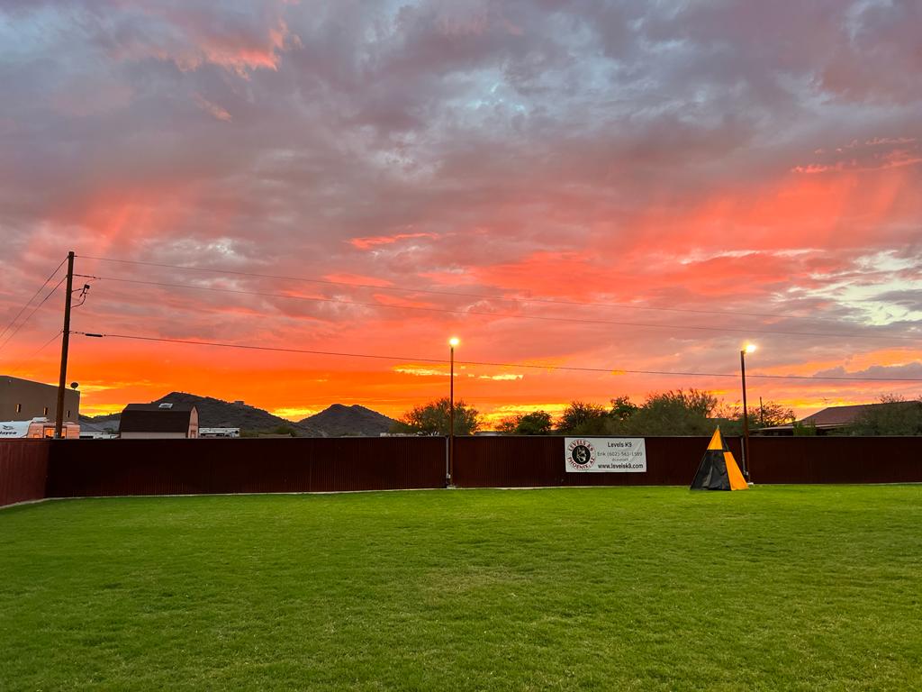 Levels K9 North Phoenix Dog Training Facility