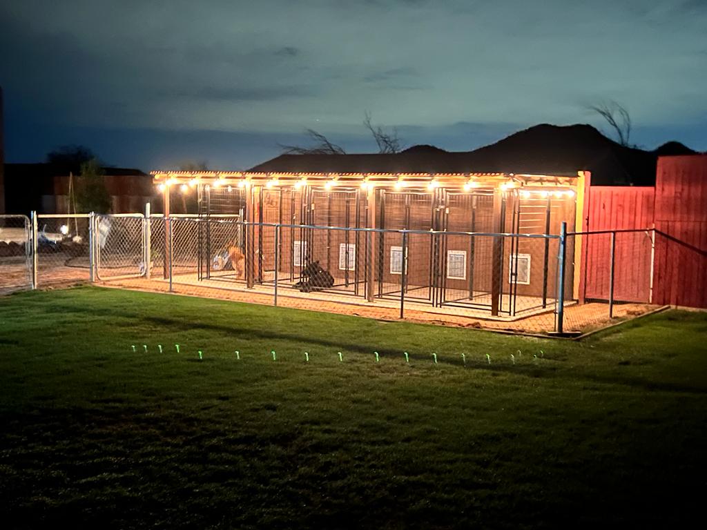 Levels K9 North Phoenix Dog Training Facility