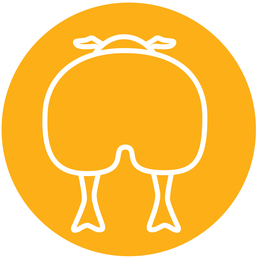 Beltex icon