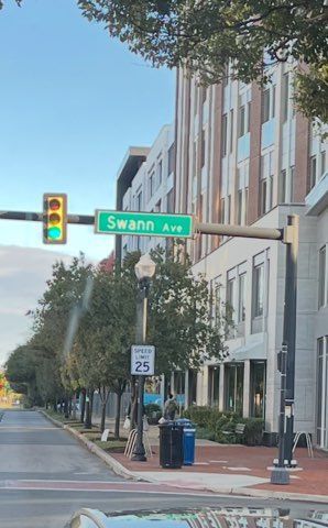 Street intersection with a green Swann Ave sign, traffic light, and tall building lining a tree-filled sidewalk.