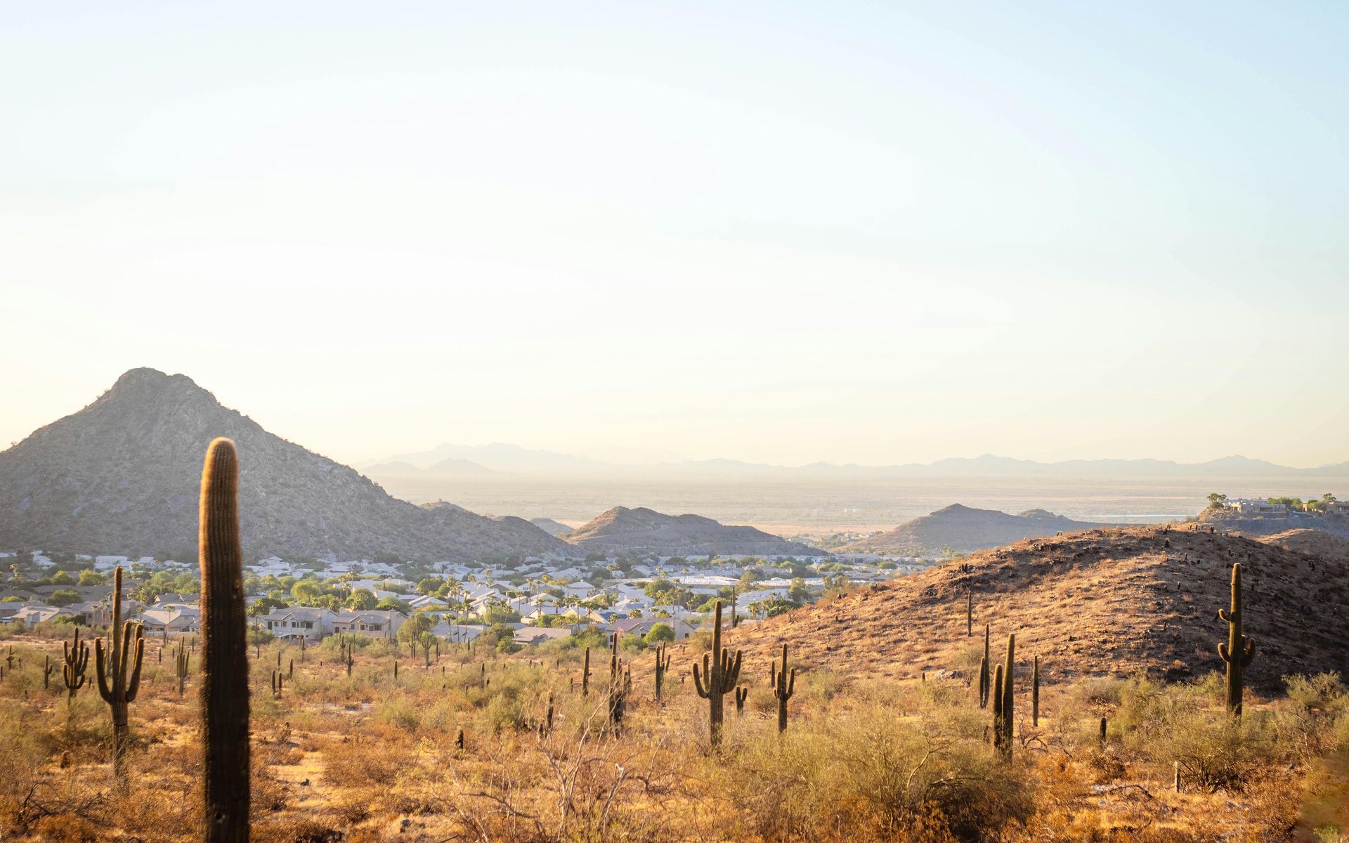 Phoenix, AZ
