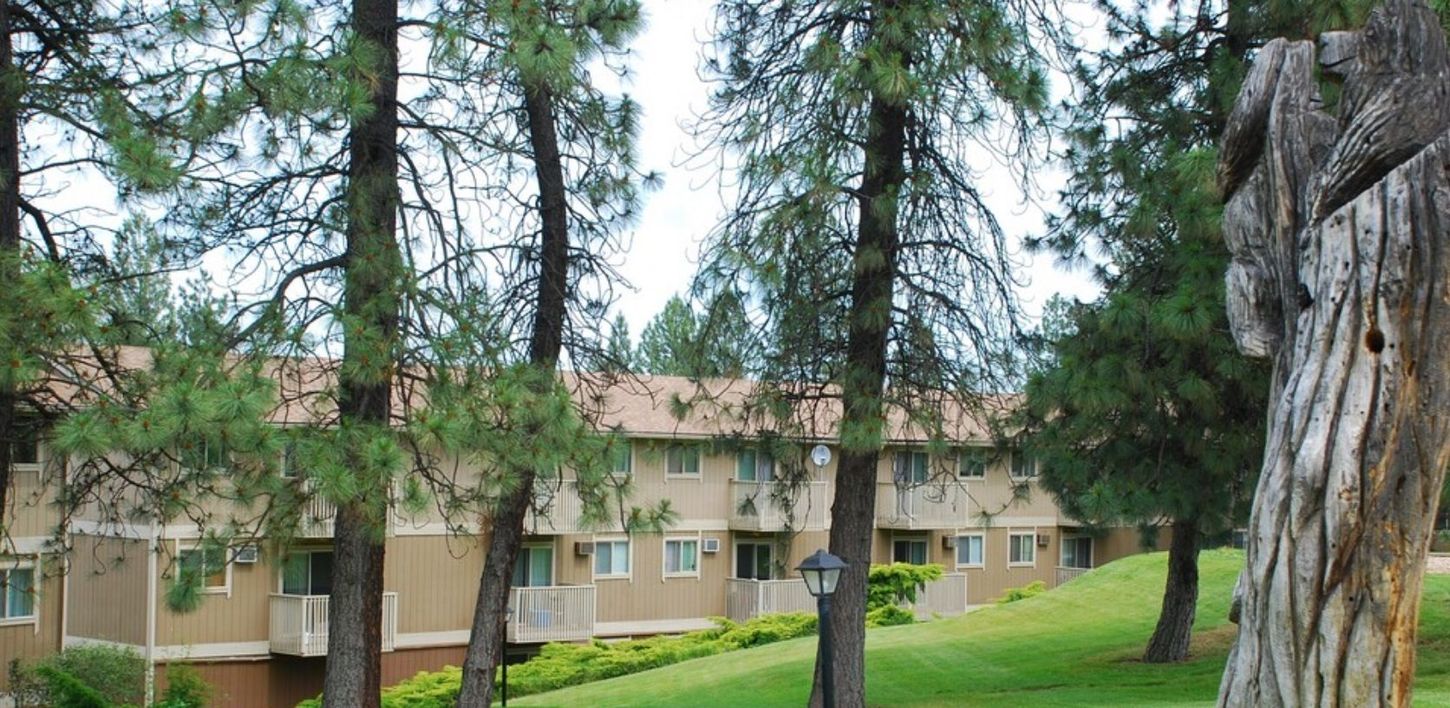 a house with a lot of trees in front of it