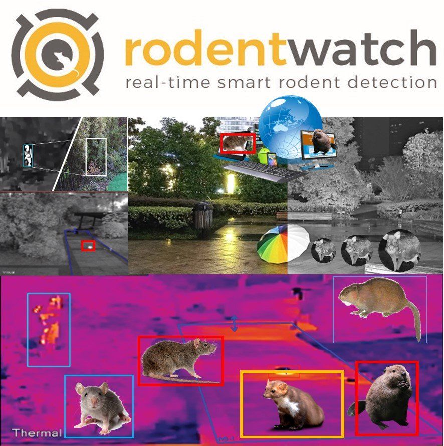 Het Rodentwatch-logo en realtime thermische beelden tonen AI-gestuurde apparaten die verschillende knaagdieren in buitenomgevingen detecteren.