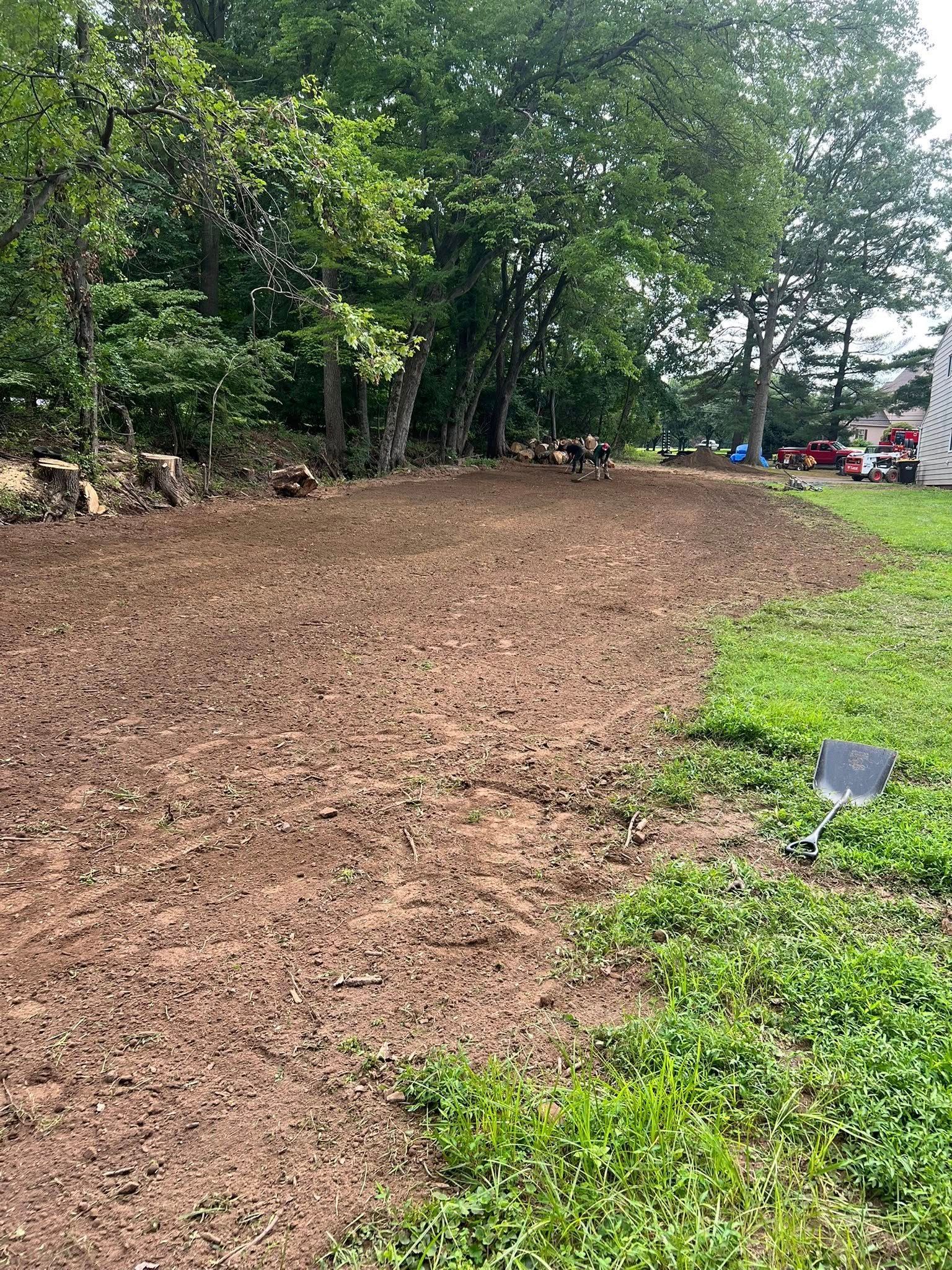Freshly mulched garden path beside green grass and trees, with parked cars in the background