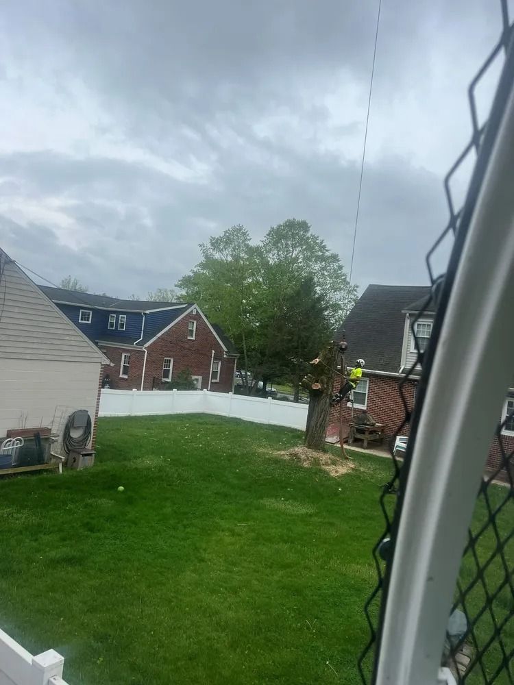 Backyard lawn with houses, a white fence, cloudy sky, and a porch light on the right