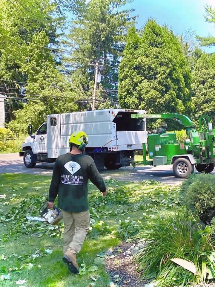 Worker in a neon helmet walking toward white and green utility trucks in a leafy yard