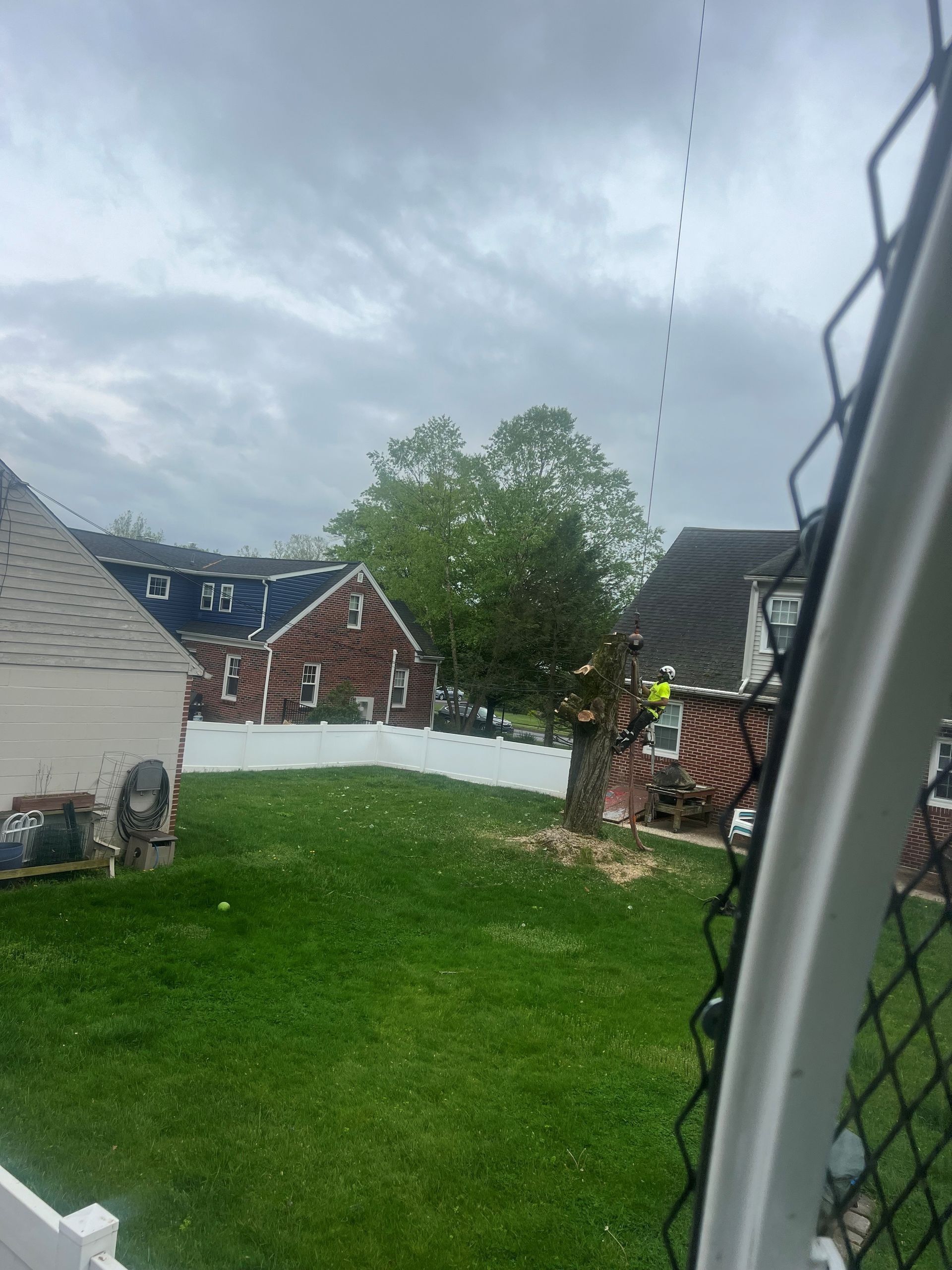 Backyard view with green lawn, white fence, brick houses, and cloudy sky through a window