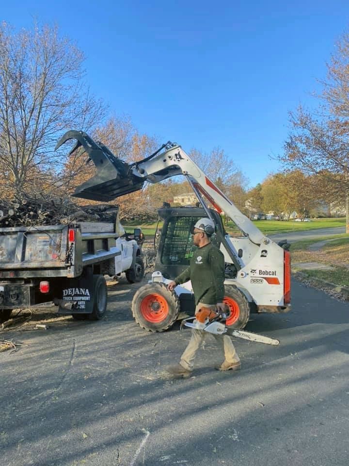 Worker operating a white skid steer beside a dump truck on a paved road in a park, lifting branches.