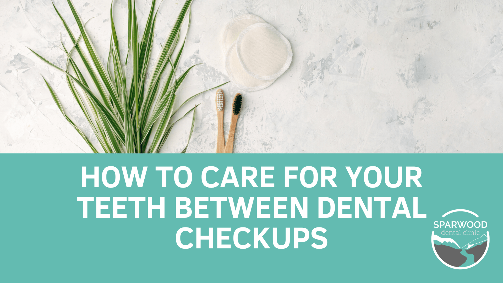 How to care for your teeth between dental checkups