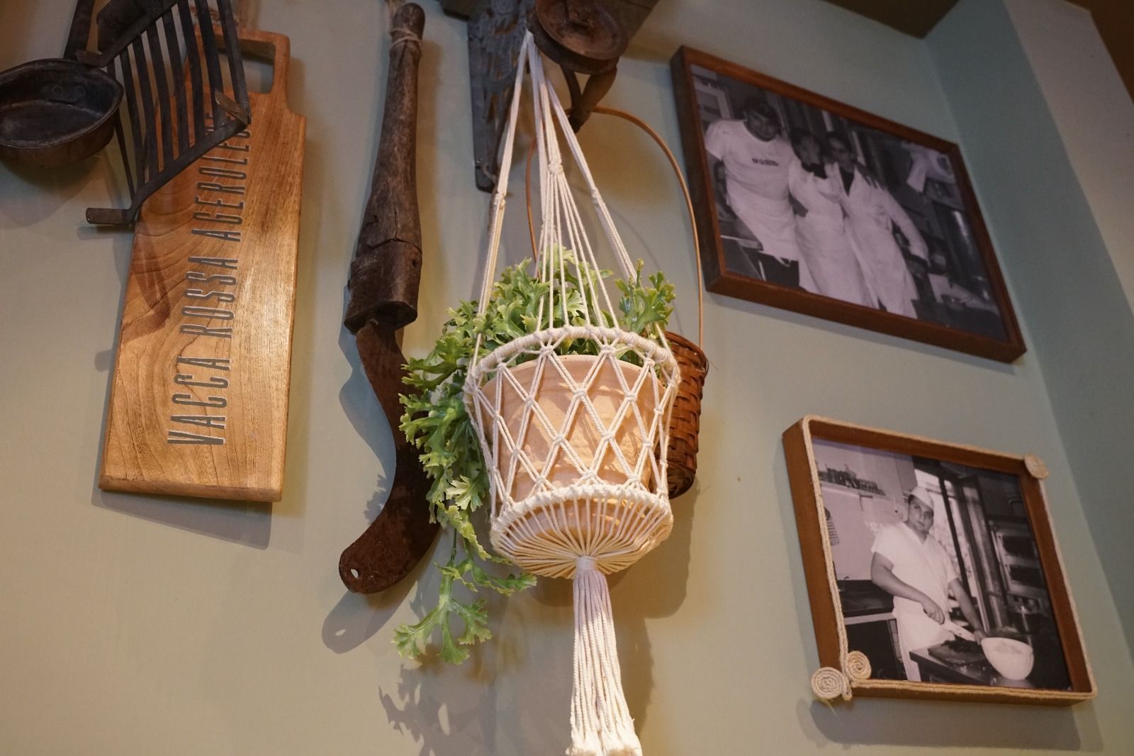 Differenza  tra trattoria e ristorante