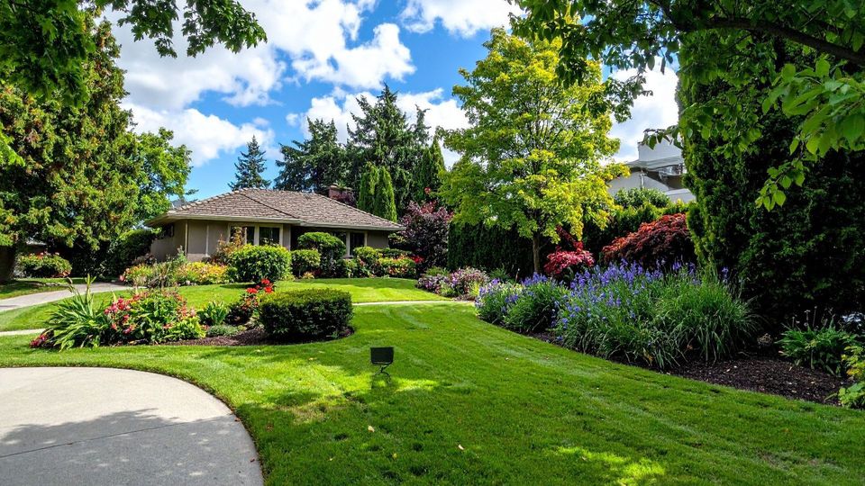 Sunny landscaped garden with green lawn, flowering shrubs, trees, and a gazebo under a blue sky.